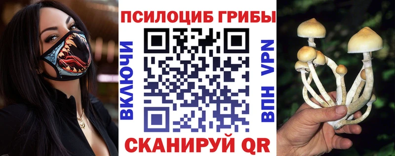 Псилоцибиновые грибы GOLDEN TEACHER  Холмск 